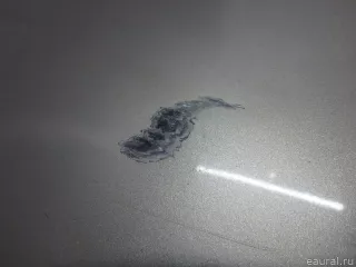 3C5827025H VAG Крышка багажника Volkswagen Passat B6 Арт E6843351, вид 3