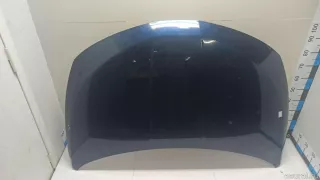 F5100CA0MM Nissan Капот Nissan Murano Z52 Арт E90044231, вид 1