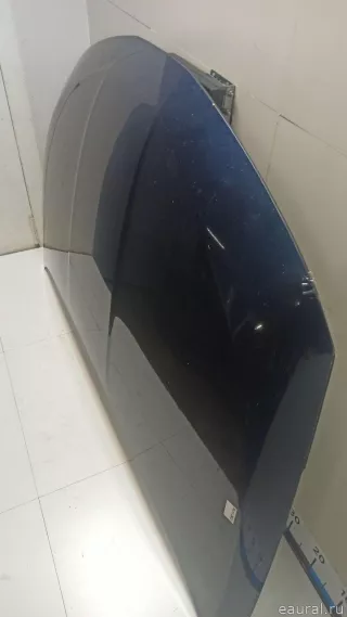 F5100CA0MM Nissan Капот Nissan Murano Z52 Арт E90044231, вид 2