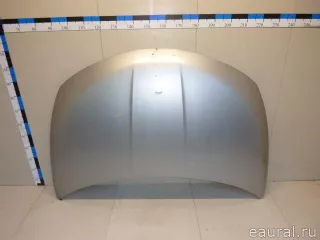 F5100CA0MM Nissan Капот Nissan Murano Z52 Арт E22443922, вид 1