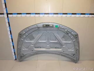 F5100CA0MM Nissan Капот Nissan Murano Z52 Арт E22443922, вид 4