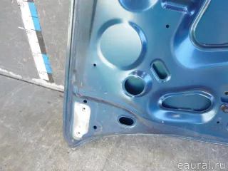 7751468059 Renault Капот Renault Scenic 1 Арт E22935810, вид 13