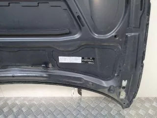 41627162102 BMW Капот BMW X1 E84 Арт E23308374, вид 22