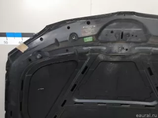 41627162102 BMW Капот BMW X1 E84 Арт E23308374, вид 24