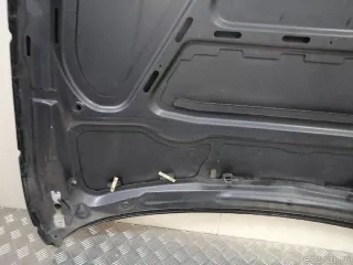 41627162102 BMW Капот BMW X1 E84 Арт E23308374, вид 25