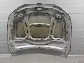 41617111385 BMW Капот BMW 5 E60/E61 Арт E50768023, вид 5