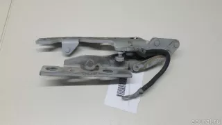 41617006123 BMW Петля капота левая BMW X5 E53 Арт E70644069, вид 1