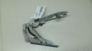 41617006123 BMW Петля капота левая BMW X5 E53 Арт E70644069, вид 6