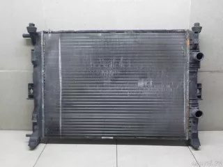8200115541 Renault Радиатор основной Renault Megane 2 Арт E31064822, вид 4