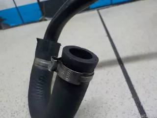 34336752152 BMW Трубка вакуумная BMW X5 E53 Арт E31192436, вид 3