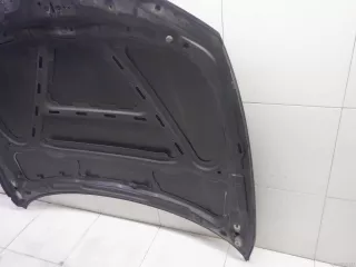 41627162102 BMW Капот BMW X1 E84 Арт E31391951, вид 11