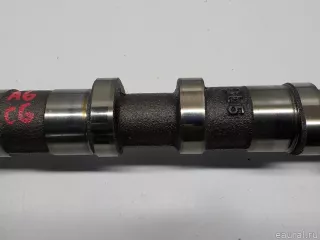 059109021EE VAG Распредвал Audi Q7 4L Арт E31480862, вид 5