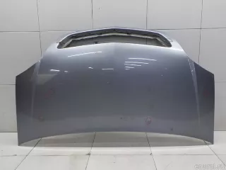 1160006 GM Капот Opel Meriva 1 Арт E31498200, вид 1