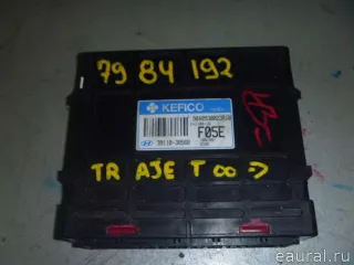 3911038566 Hyundai-Kia Блок управления двигателем Hyundai Trajet Арт E52347684, вид 1