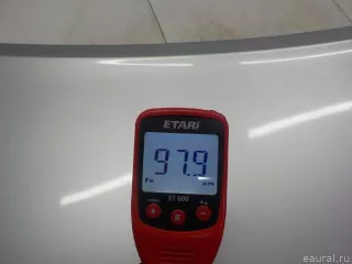 651001097R Renault Капот Renault Scenic 2 Арт E31528593, вид 11