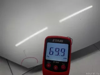 651001097R Renault Капот Renault Scenic 2 Арт E31528593, вид 12