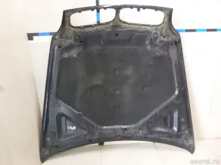 41617486754 BMW Капот BMW X6 E71/E72 Арт E22094707, вид 3