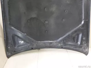 41617486754 BMW Капот BMW X6 E71/E72 Арт E22094707, вид 5