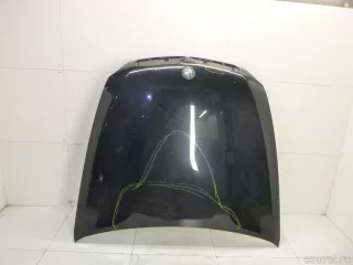 41617486754 BMW Капот BMW X6 E71/E72 Арт E40444231, вид 1