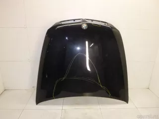 41617486754 BMW Капот BMW X6 E71/E72 Арт E40444231, вид 2