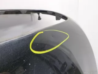 41617486754 BMW Капот BMW X6 E71/E72 Арт E40444231, вид 6
