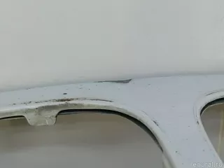 41617486754 BMW Капот BMW X6 E71/E72 Арт E70652472, вид 5