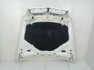 41617486754 BMW Капот BMW X6 E71/E72 Арт E70652472, вид 6