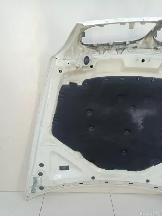 41617486754 BMW Капот BMW X6 E71/E72 Арт E70652472, вид 8