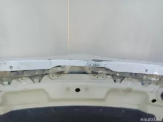 41617486754 BMW Капот BMW X6 E71/E72 Арт E70652472, вид 9