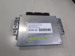 9641816280 Citroen-Peugeot Блок управления двигателем Peugeot 307 Арт E80817739, вид 7