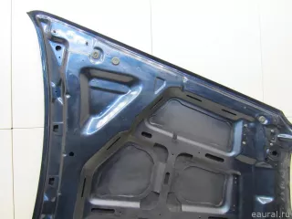 41617486754 BMW Капот BMW X5 E70 Арт E80824252, вид 14