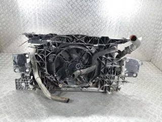214100002R Кассета радиаторов Renault Megane 3 Арт 121538, вид 3