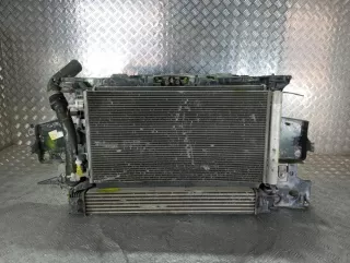 214100002R Кассета радиаторов Renault Megane 3 Арт 121538, вид 4