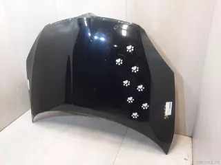 5J0823031A VAG Капот Skoda Roomster 1 restailing Арт E22473796, вид 1
