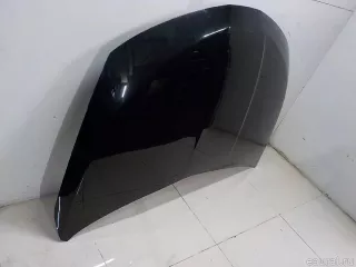 F5100CA0MM Nissan Капот Nissan Murano Z52 Арт E84111547, вид 2