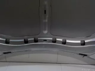 5N0823031D VAG Капот Volkswagen Tiguan 1 Арт E84448337, вид 16