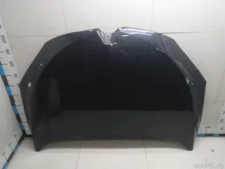 651009018R Renault Капот Renault Megane 3 Арт E90183420, вид 1
