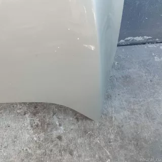 651009018R Renault Капот Renault Megane 3 Арт E23259998, вид 2