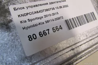 391142G872 Hyundai-Kia Блок управления двигателем Kia Sportage 3 Арт E80667564, вид 5