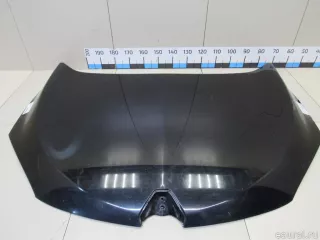 651009018R Renault Капот Renault Megane 3 Арт E80931472, вид 2