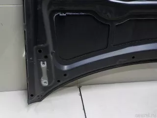 41617153940 BMW Капот BMW 3 E90/E91/E92/E93 Арт E84594381, вид 16