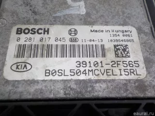 391012F565 Hyundai-Kia Блок управления двигателем Kia Sportage 3 Арт E84718737, вид 2