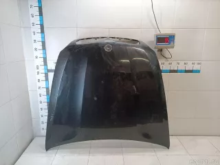41617486754 BMW Капот BMW X6 E71/E72 Арт E84735245, вид 15