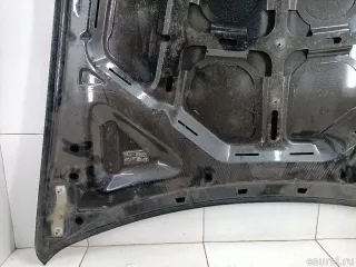 41617486754 BMW Капот BMW X6 E71/E72 Арт E84735245, вид 9