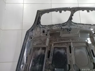 41617486754 BMW Капот BMW X6 E71/E72 Арт E84735245, вид 10