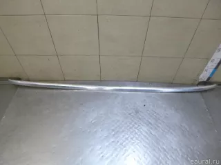 4F9860021J2ZZ VAG Рейлинг левый (планка на крышу) Audi A6 C6 (S6,RS6) Арт E100188052, вид 1