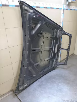 41617273439 BMW Капот BMW X6 E71/E72 Арт E100276216, вид 11