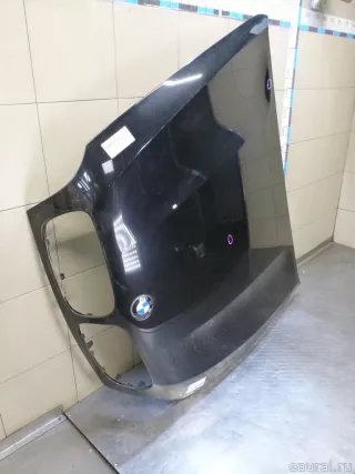 41617273439 BMW Капот BMW X6 E71/E72 Арт E100276216, вид 2