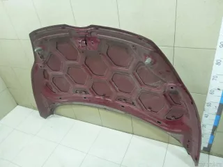 1711171 Ford Капот Ford Fiesta 6 Арт E100358927, вид 14
