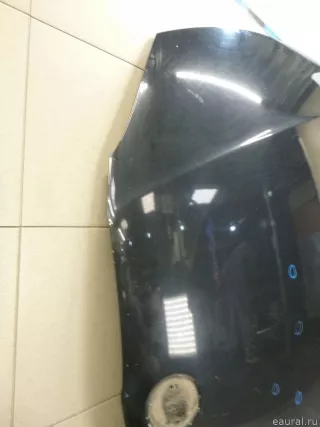 41627162102 BMW Капот BMW X1 E84 Арт E12985255, вид 13